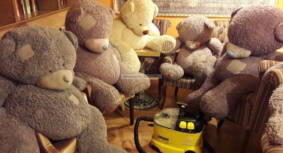 Чистка мягких игрушек (медведей) кафе МойКофе фото